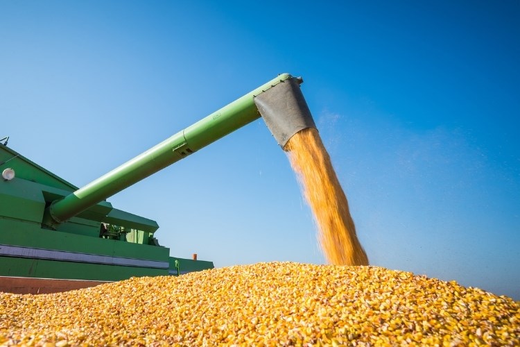 Slika /slike/Priopcenja/Foto_NOVO PRIOPĆENJA/Poljoprivreda/ef45hg54hwegf (162).jpg